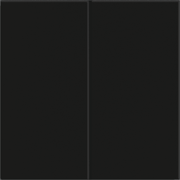 BE-TAL55B206.01 KNX Push Button Lite 55 Basic 2 gang, Black matt finish